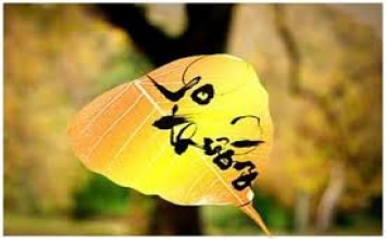 Tài sản lớn nhất trong đời sống là “không mua”